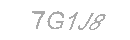 Güvenlik Kodu