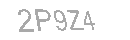 Güvenlik Kodu