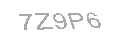 Güvenlik Kodu