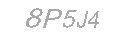 Güvenlik Kodu