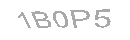 Güvenlik Kodu