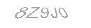 Güvenlik Kodu