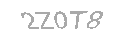 Güvenlik Kodu