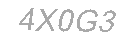 Güvenlik Kodu