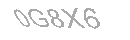 Güvenlik Kodu