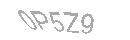 Güvenlik Kodu