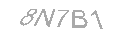 Güvenlik Kodu