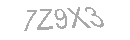 Güvenlik Kodu