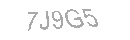 Güvenlik Kodu