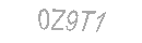 Güvenlik Kodu