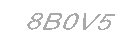 Güvenlik Kodu