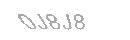 Güvenlik Kodu
