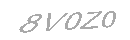 Güvenlik Kodu