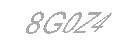 Güvenlik Kodu