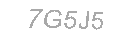 Güvenlik Kodu