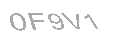 Güvenlik Kodu