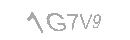 Güvenlik Kodu