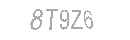 Güvenlik Kodu