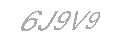 Güvenlik Kodu
