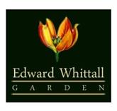 Edward Whitthall