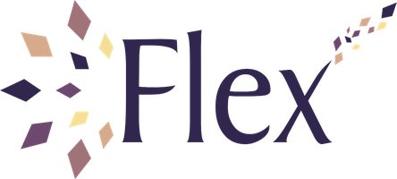 Flex Turizm