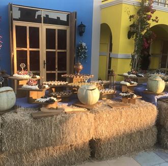 Organizasyon Görselleri